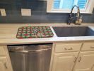 Xoloitzcuintli Christmas PoinsettIas Dish Drying Mat Absorbent Dish Drying Mat Pad for Kitchen Counter Dish Drainer Mat for Countertop, 14 x 21"